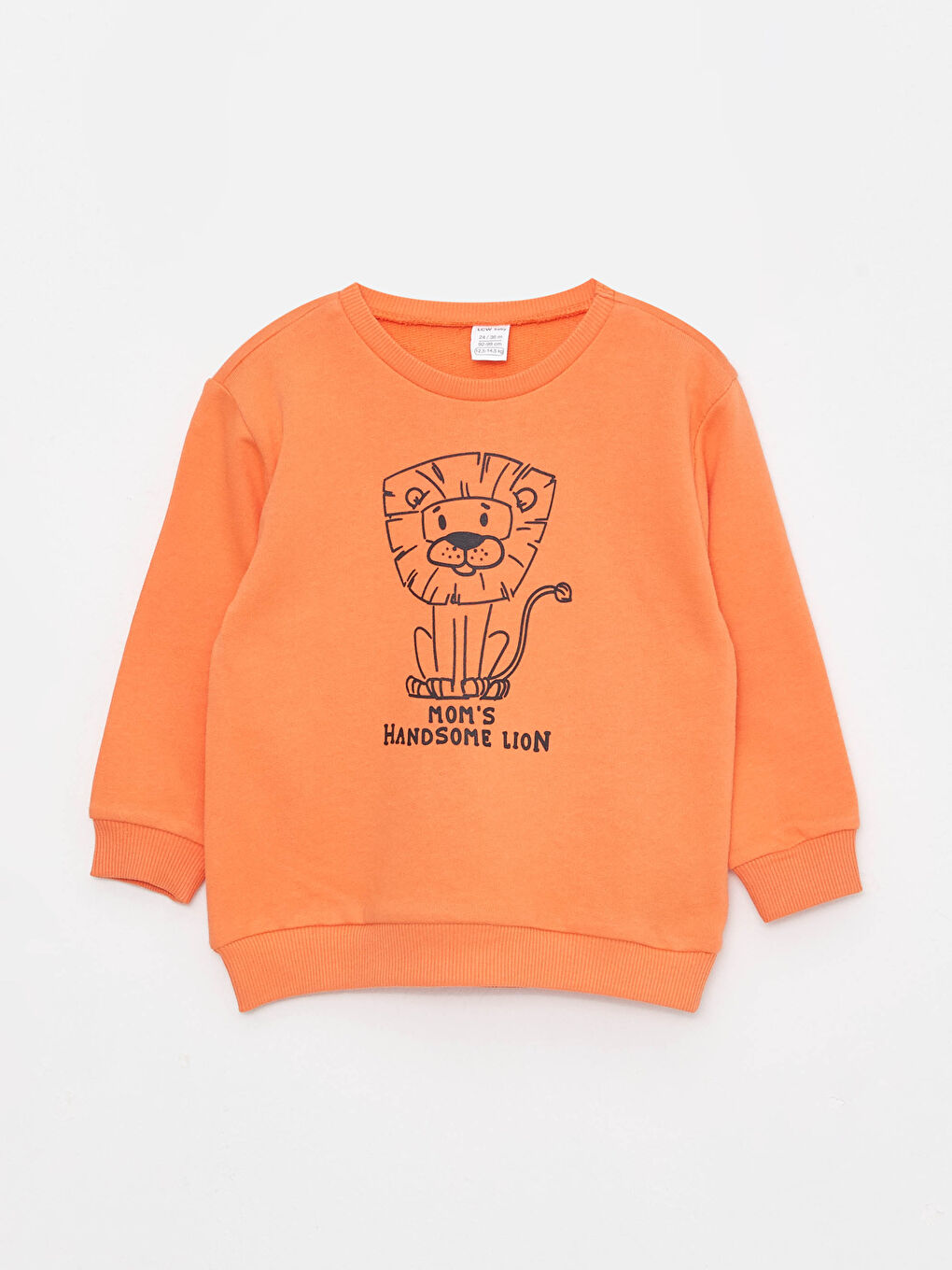 Crew Neck Long Sleeve Printed Baby Boys' Sweatshirt and Pants 2 Pack Set-1