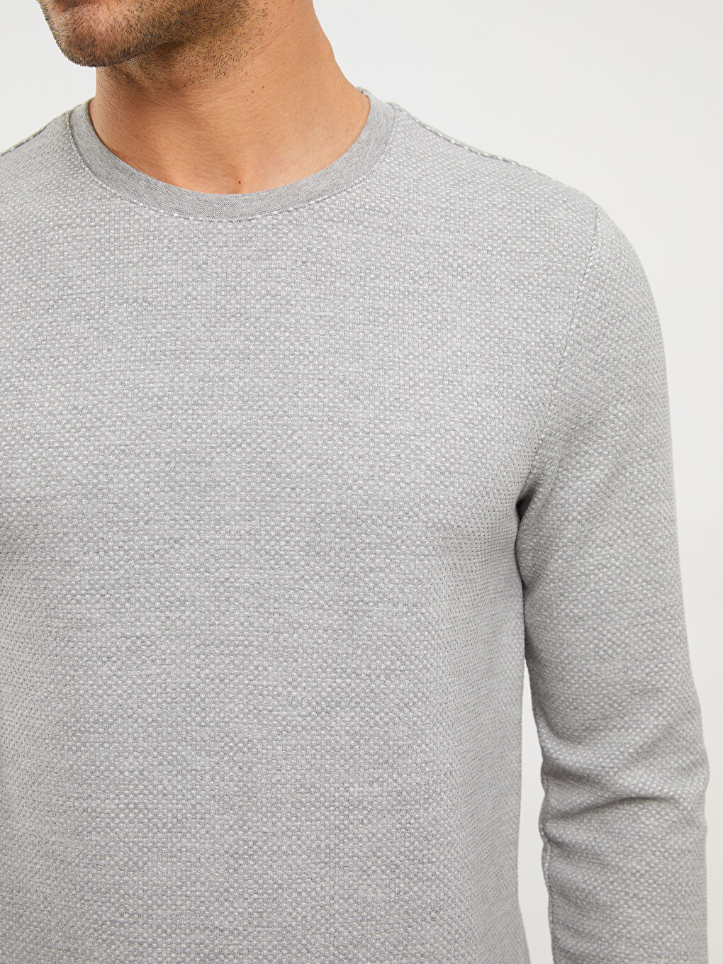 LC Waikiki Crew Neck Long Sleeve Men's T-Shirt -W2CS96Z8-E86