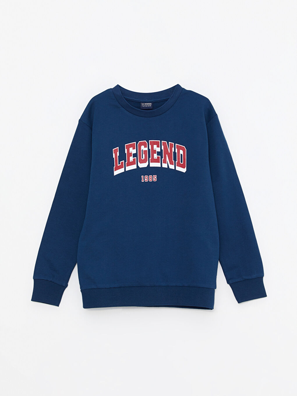 Crew Neck Printed Long Sleeve Boys' Sweatshirt