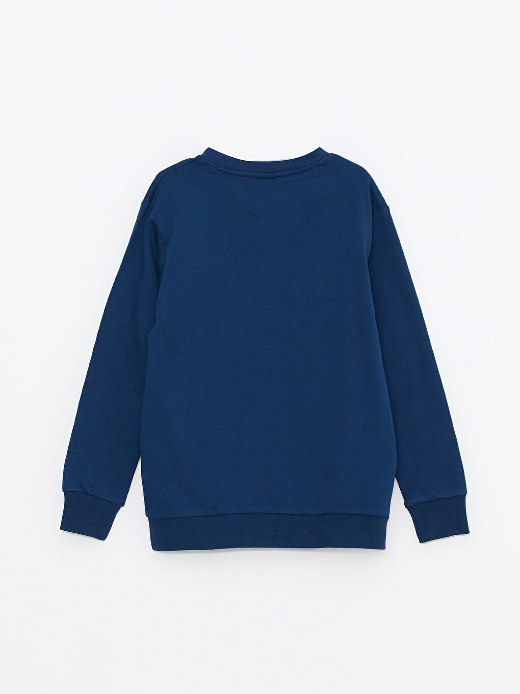 Crew Neck Printed Long Sleeve Boys' Sweatshirt-1