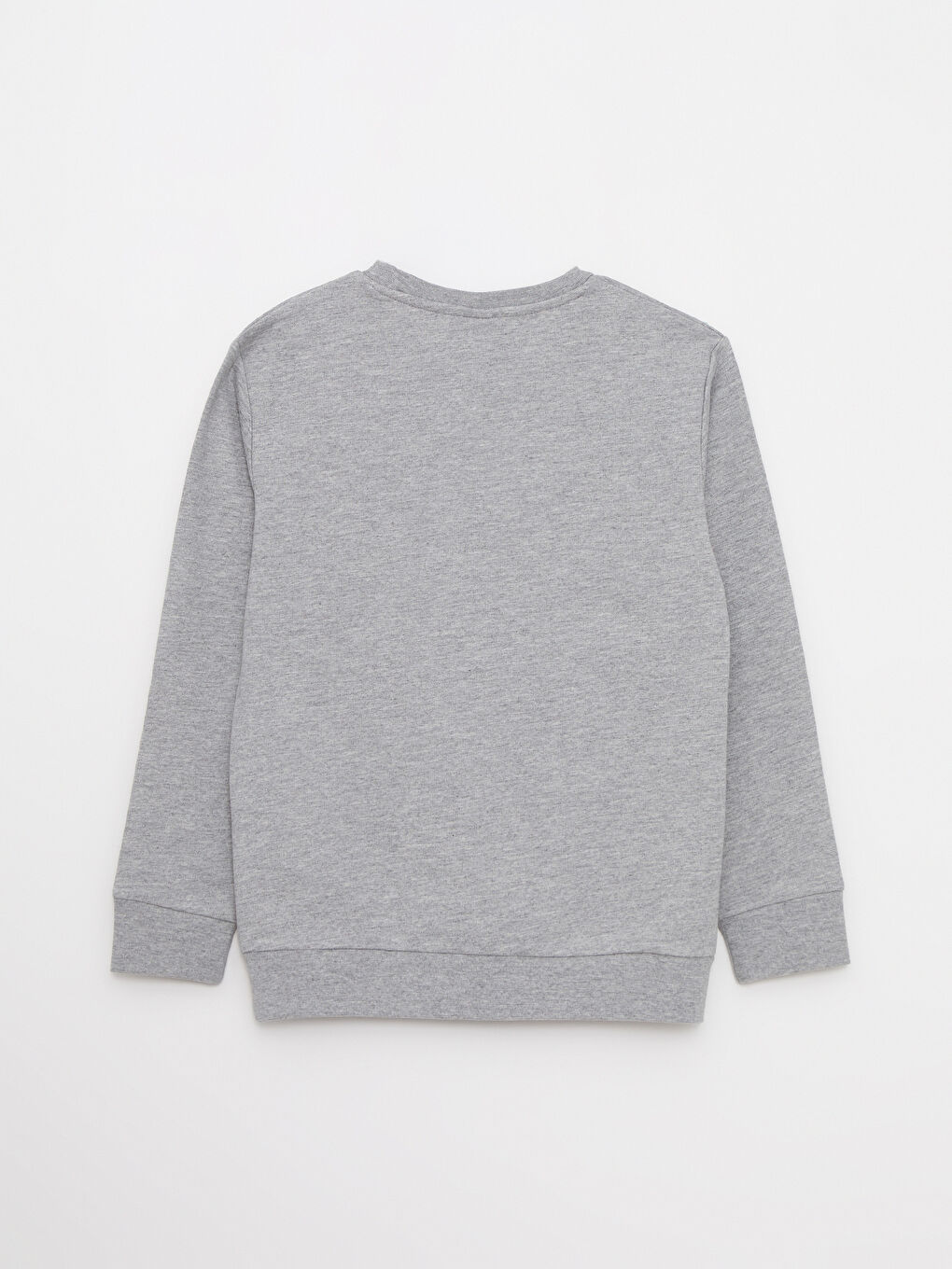 Crew Neck Printed Long Sleeve Boys' Sweatshirt-1