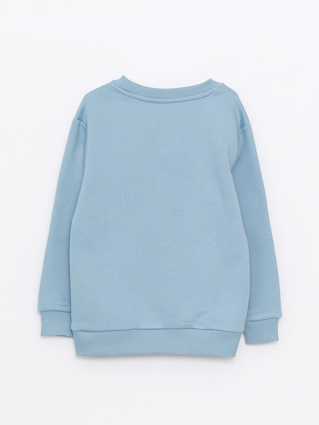 Crew Neck Printed Long Sleeve Boys' Sweatshirt-1