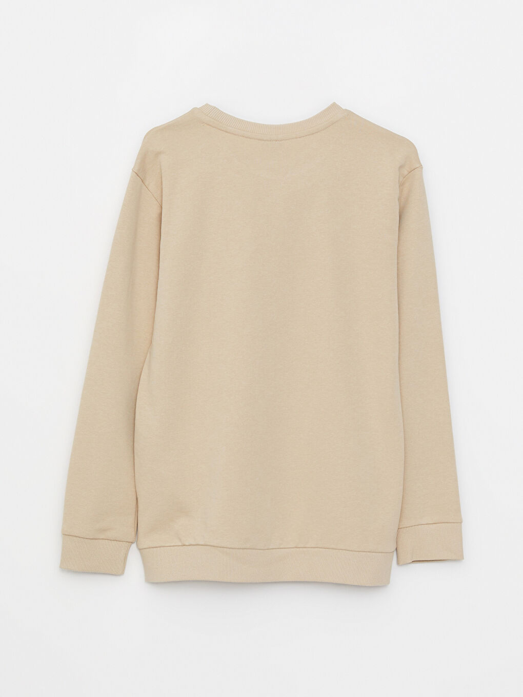 Crew Neck Printed Long Sleeve Boys' Sweatshirt-1