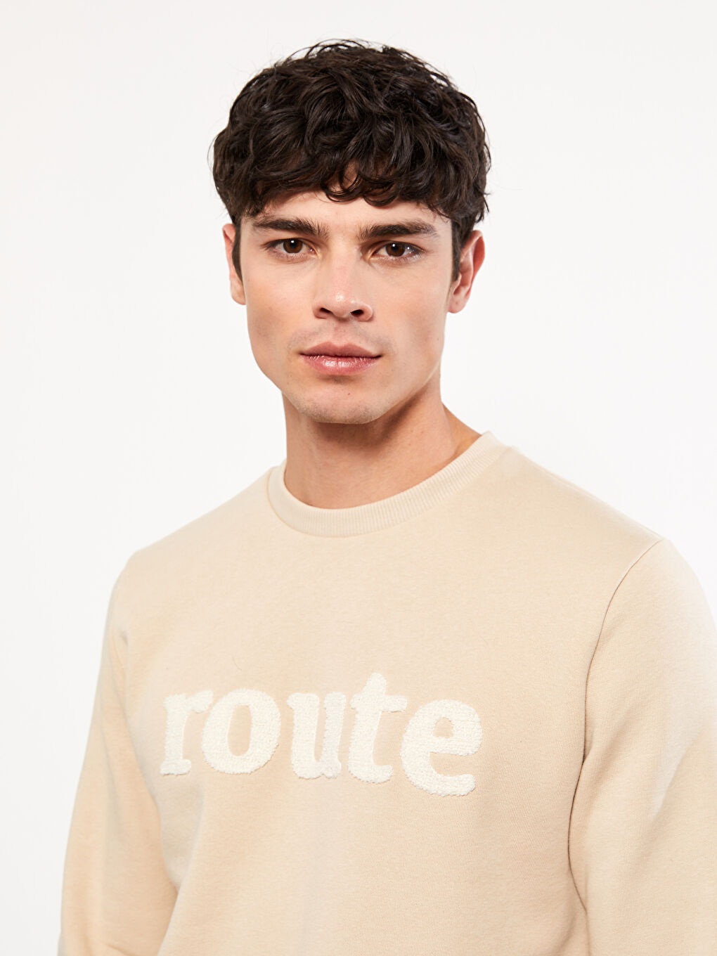 Crew Neck Printed Men's Thick Sweatshirt-1