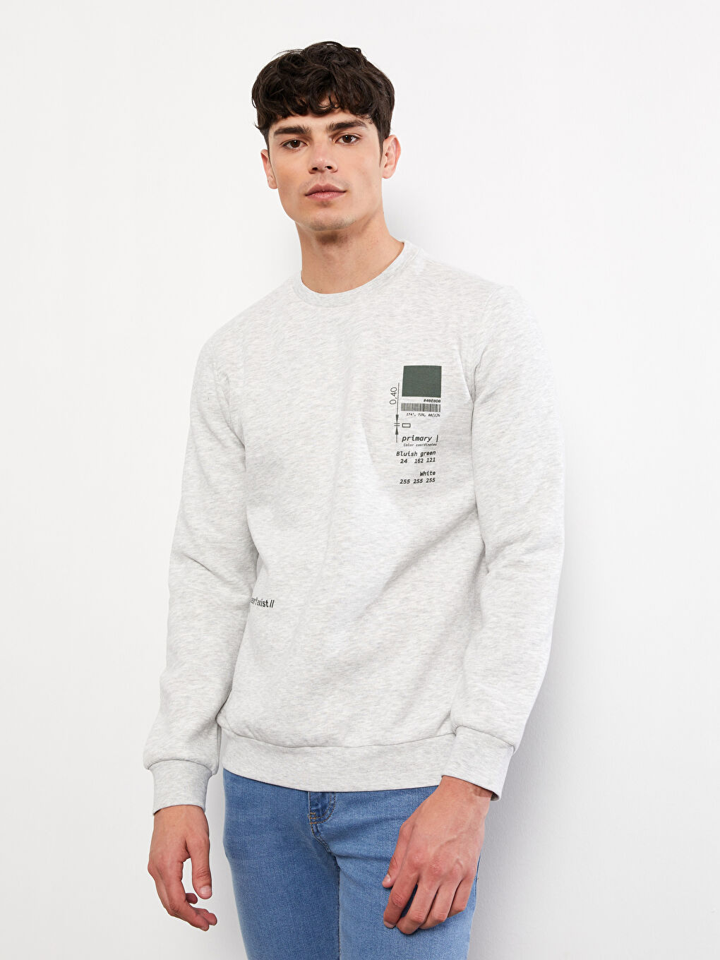 LC Waikiki Crew Neck Printed Men's Thick Sweatshirt -W2EK53Z8-LAL