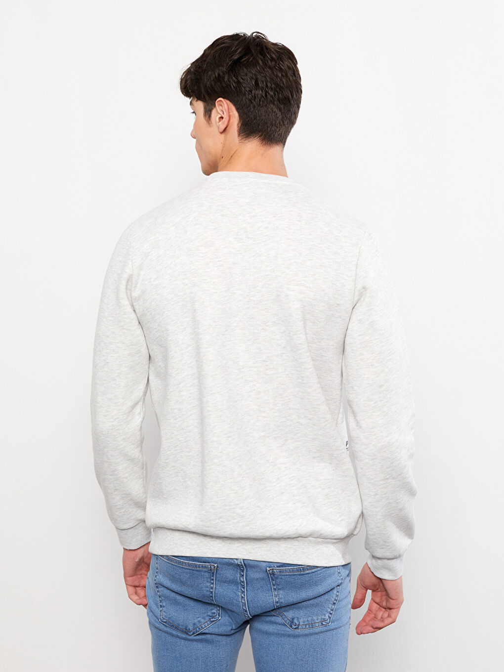 LC Waikiki Crew Neck Printed Men's Thick Sweatshirt -W2EK53Z8-LAL