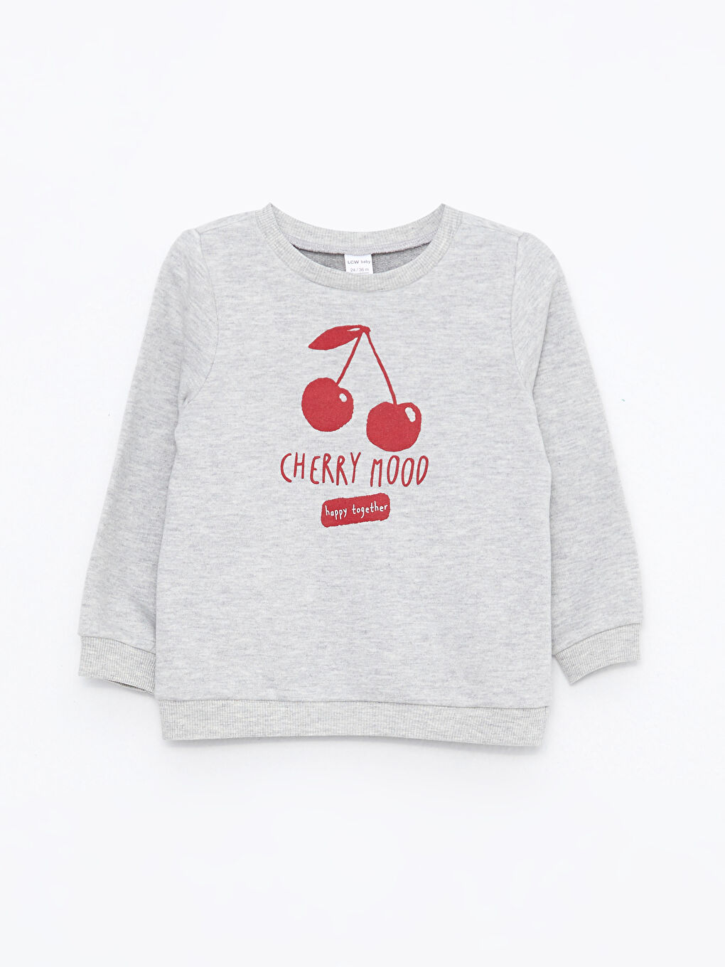 Gri Bisiklet Yaka Uzun Kollu Baskılı Kız Bebek Sweatshirt ve Eşofman Alt 2'li Takım-1