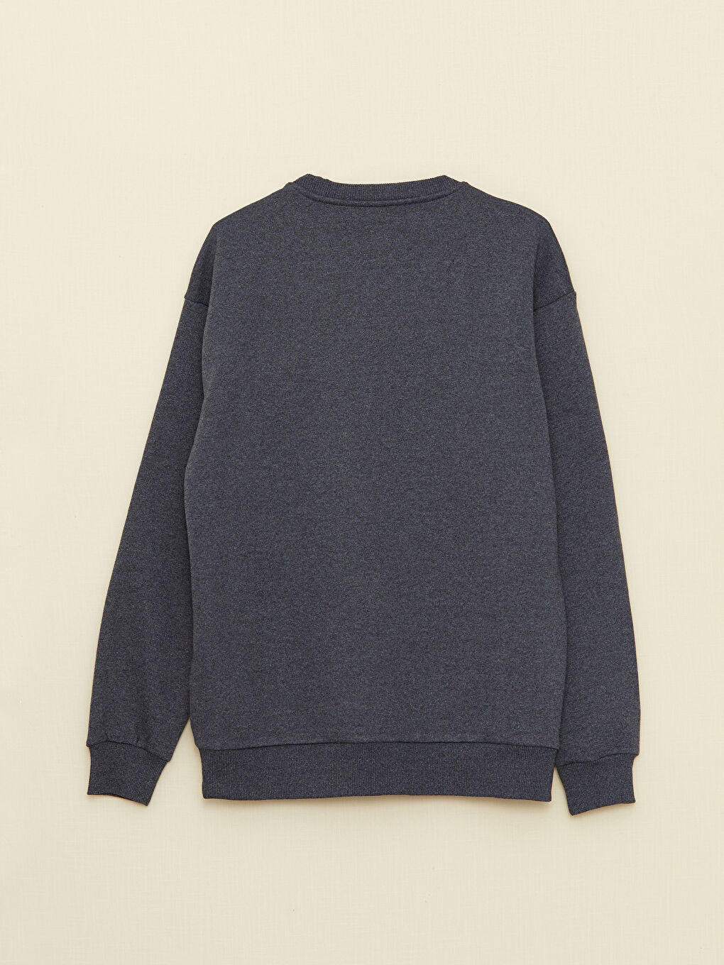 Bisiklet Yaka Uzun Kollu Erkek Sweatshirt-6