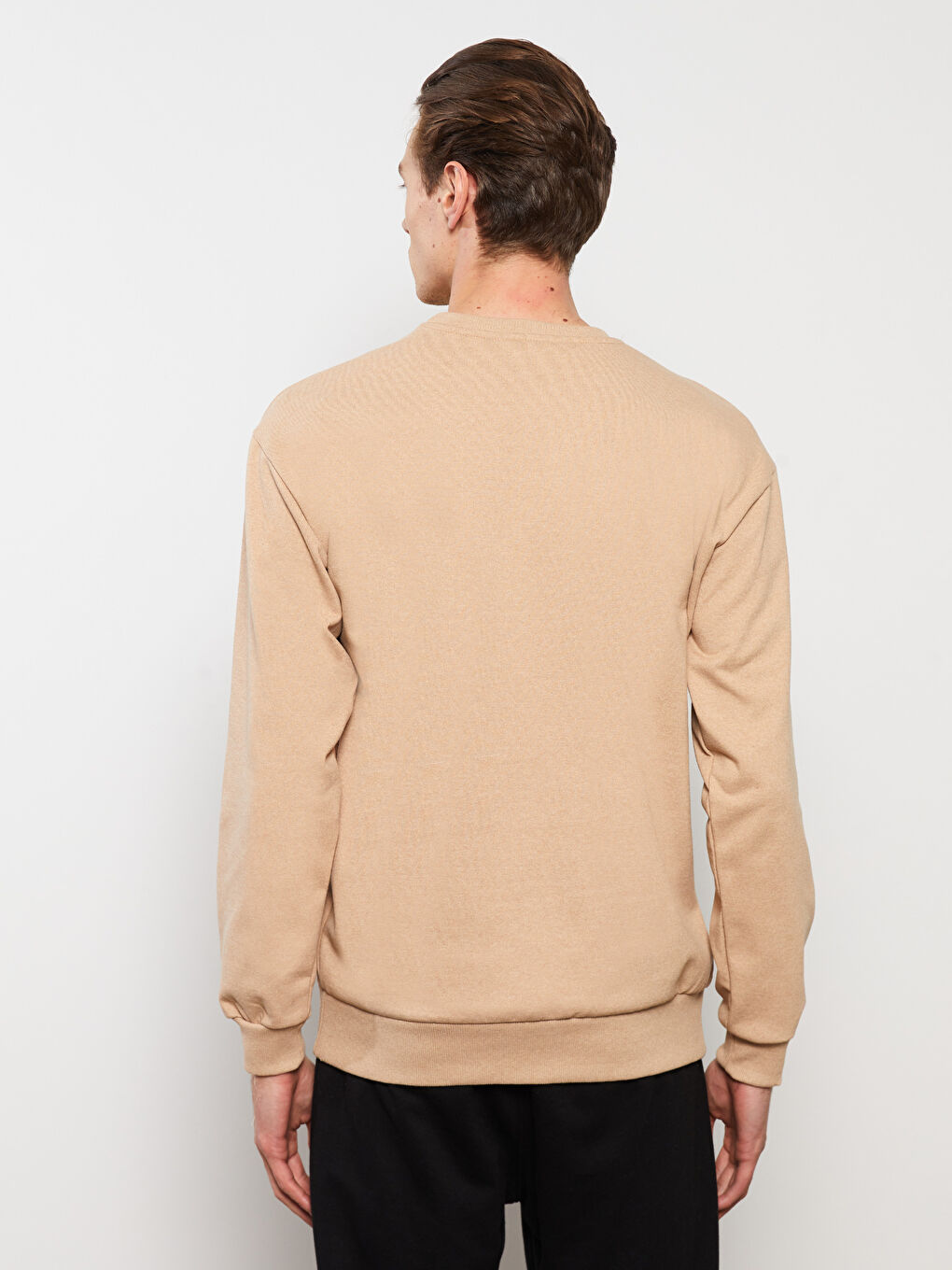 LCW ECO Crew Neck Long Sleeve Printed Men's Sweatshirt -W2EL72Z8-DFE