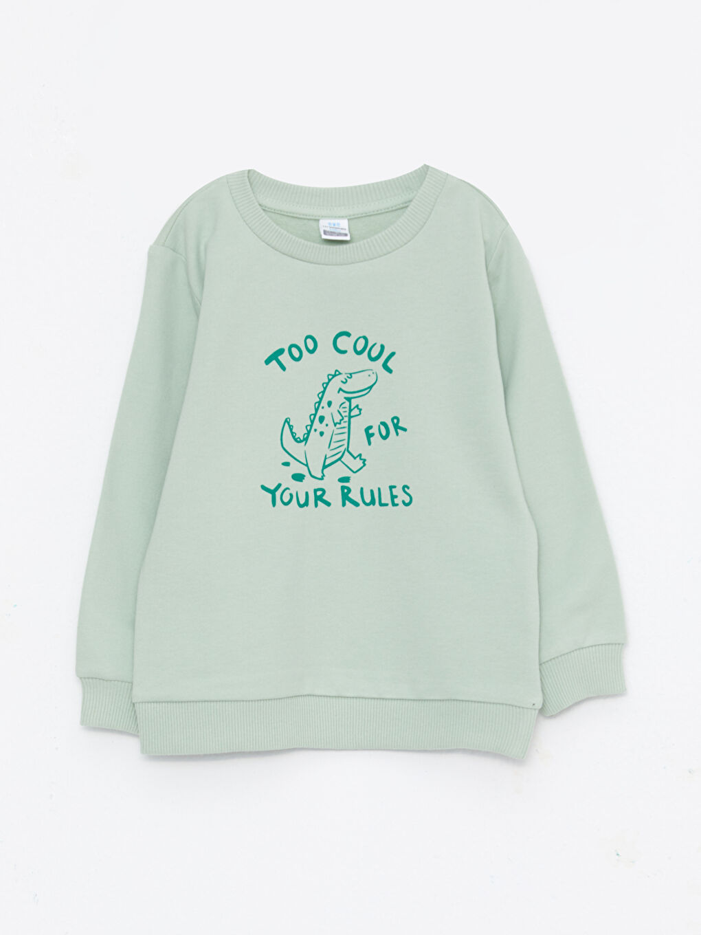 Crew Neck Long Sleeve Printed Baby Boys' Sweatshirt