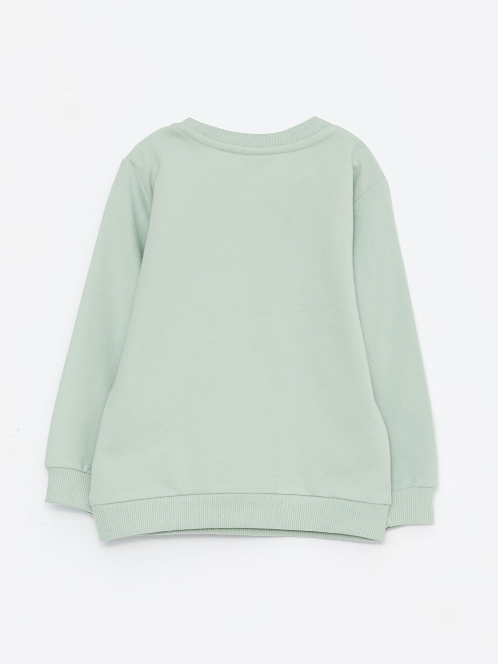 Crew Neck Long Sleeve Printed Baby Boys' Sweatshirt-1