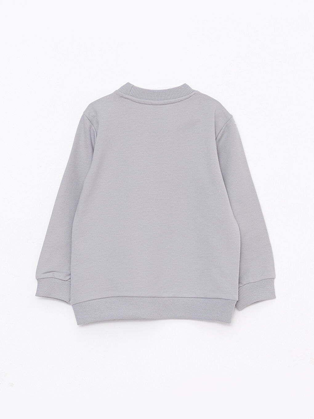 Crew Neck Printed Baby Boy Sweatshirt-1