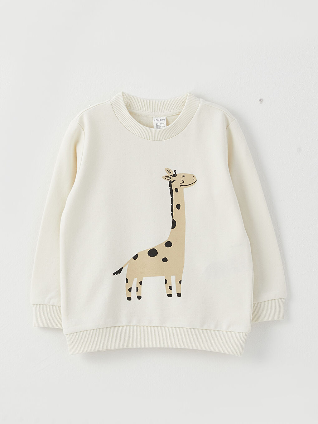 Crew Neck Printed Baby Boy Sweatshirt-4