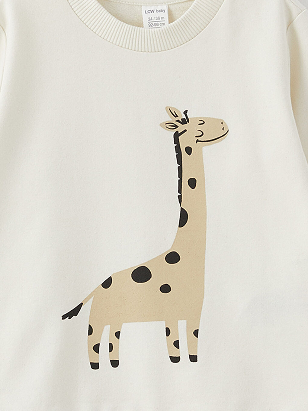 Crew Neck Printed Baby Boy Sweatshirt-6