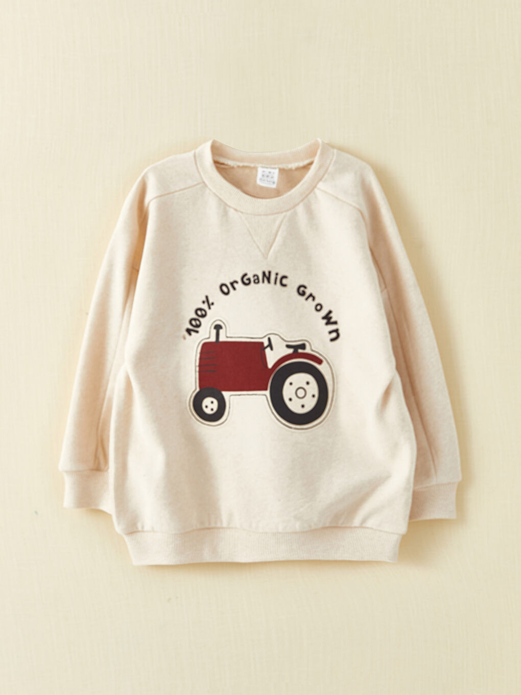 LCW baby Bej Bisiklet Yaka Uzun Kollu Baskılı Erkek Bebek Sweatshirt - 2