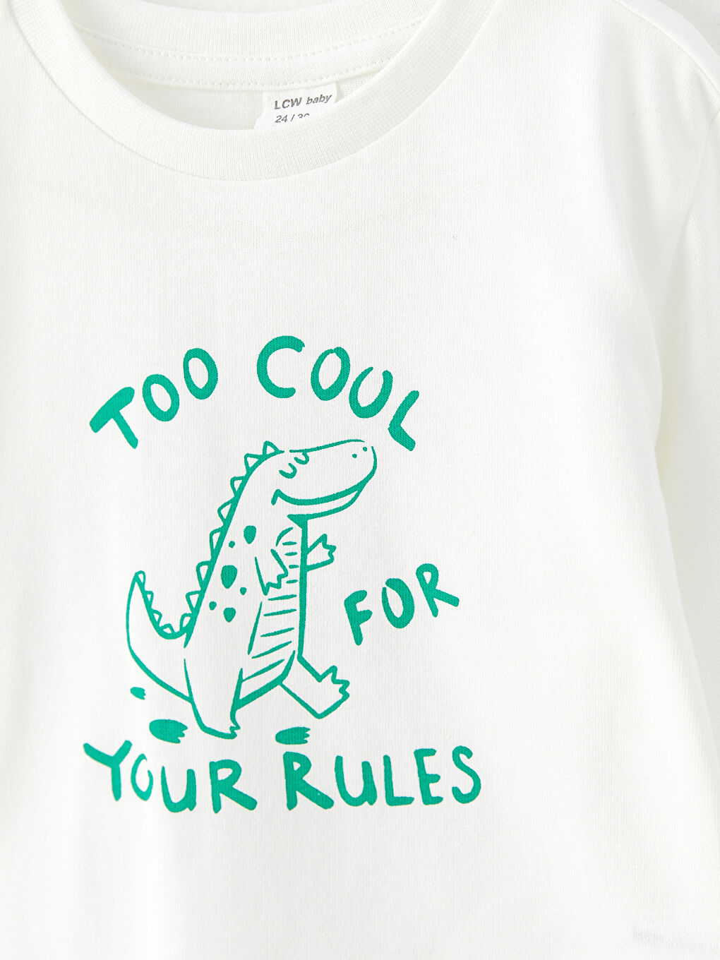 Crew Neck Long Sleeve Printed Cotton Baby Boy T-shirt-1