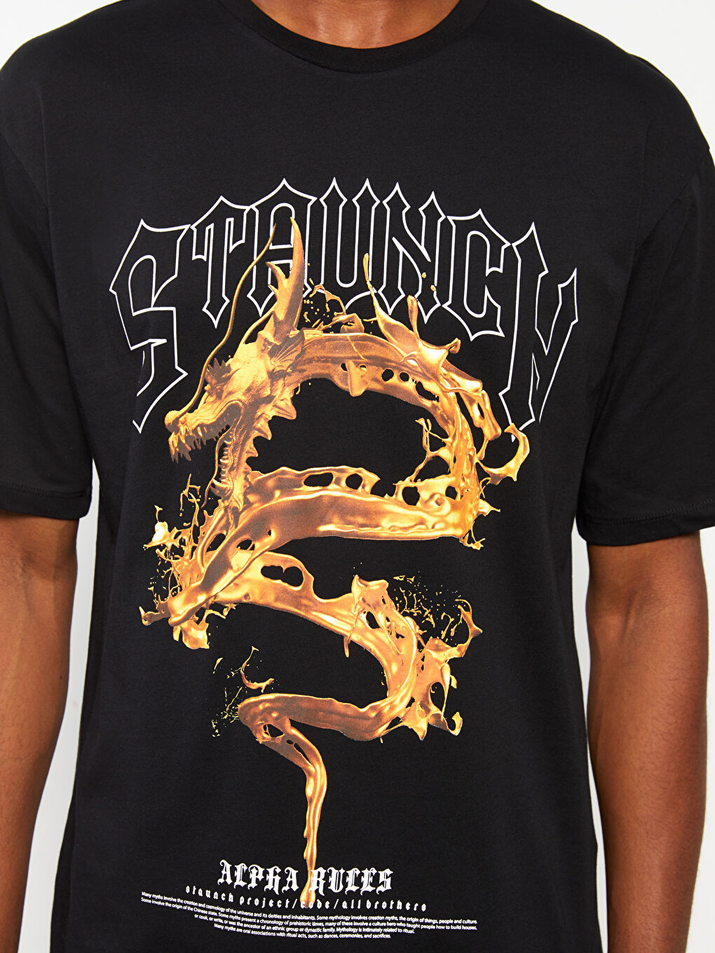 Siyah Bisiklet Yaka Kısa Kollu Baskılı Penye Erkek Tişört-3