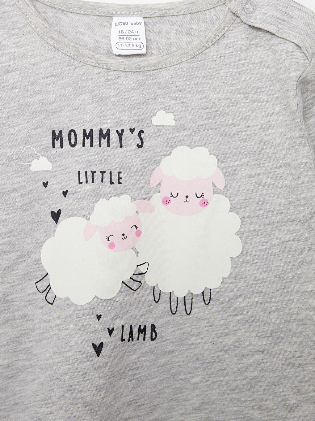 LCW ECO Crew Neck Long Sleeve Printed Baby Girls T-Shirt 2 Pack -W2FH06Z1-CT3