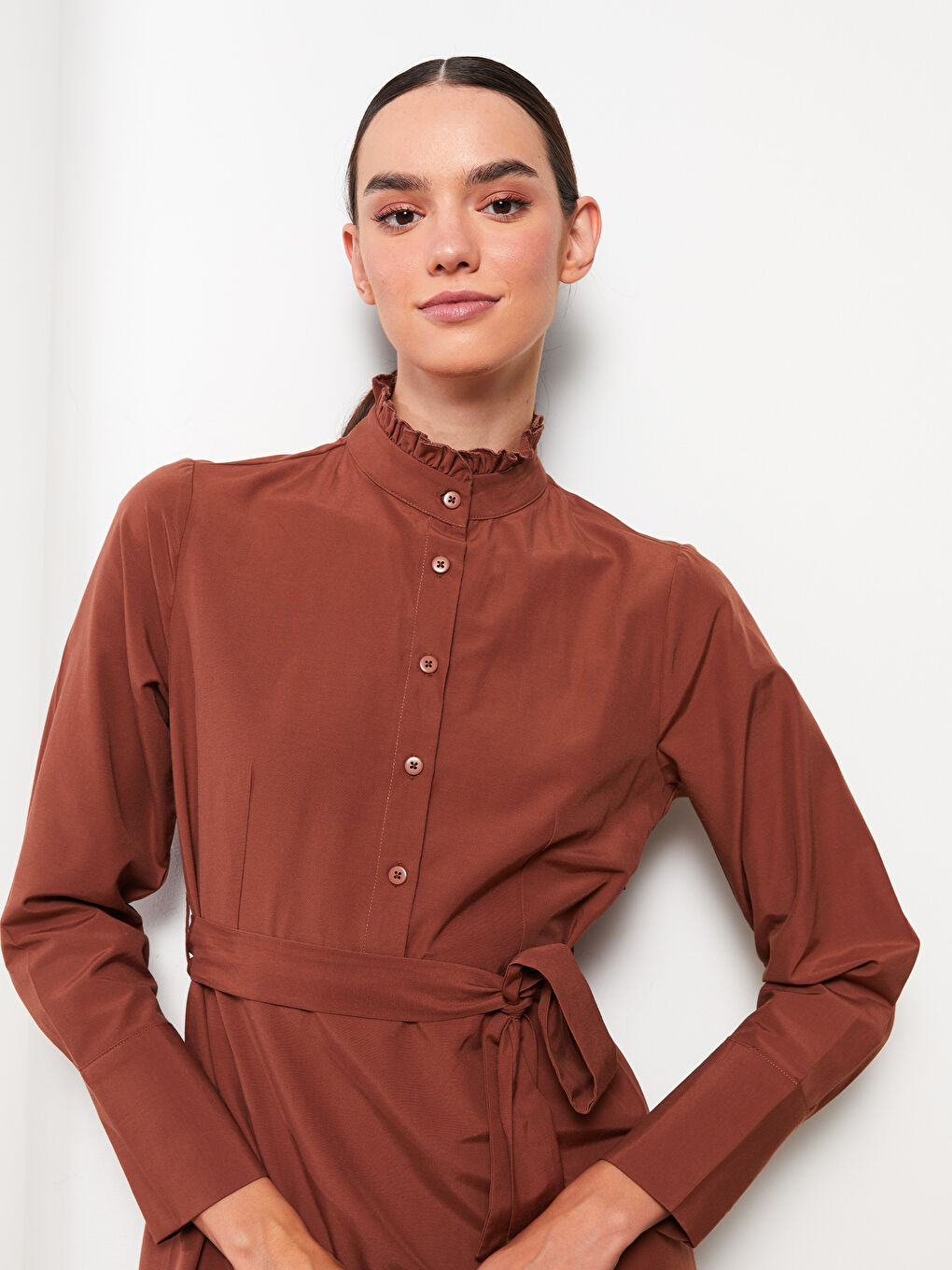 Turtle Neck Regular Long Sleeve Poplin Women's Dress-1