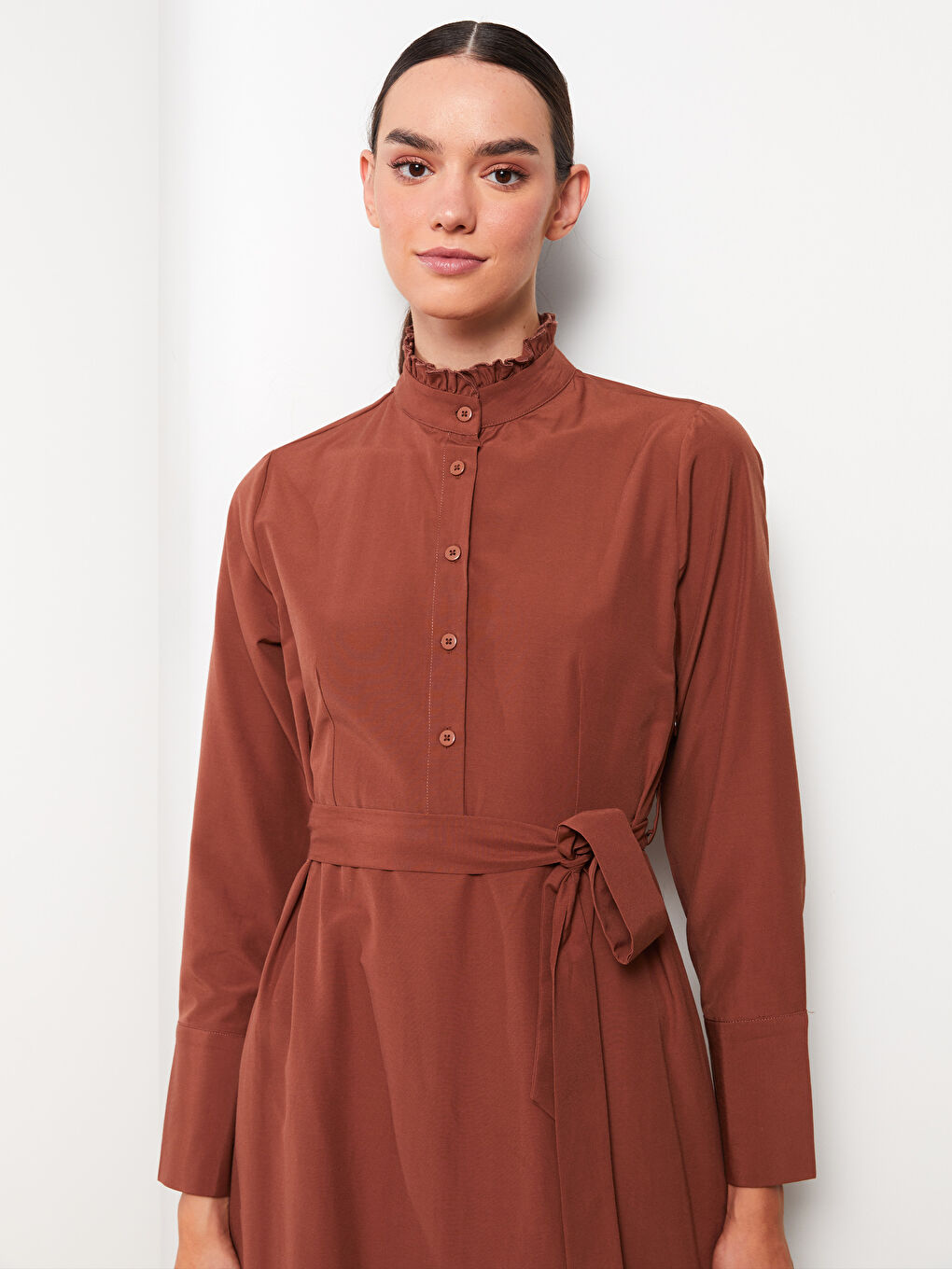 Turtle Neck Regular Long Sleeve Poplin Women's Dress-2