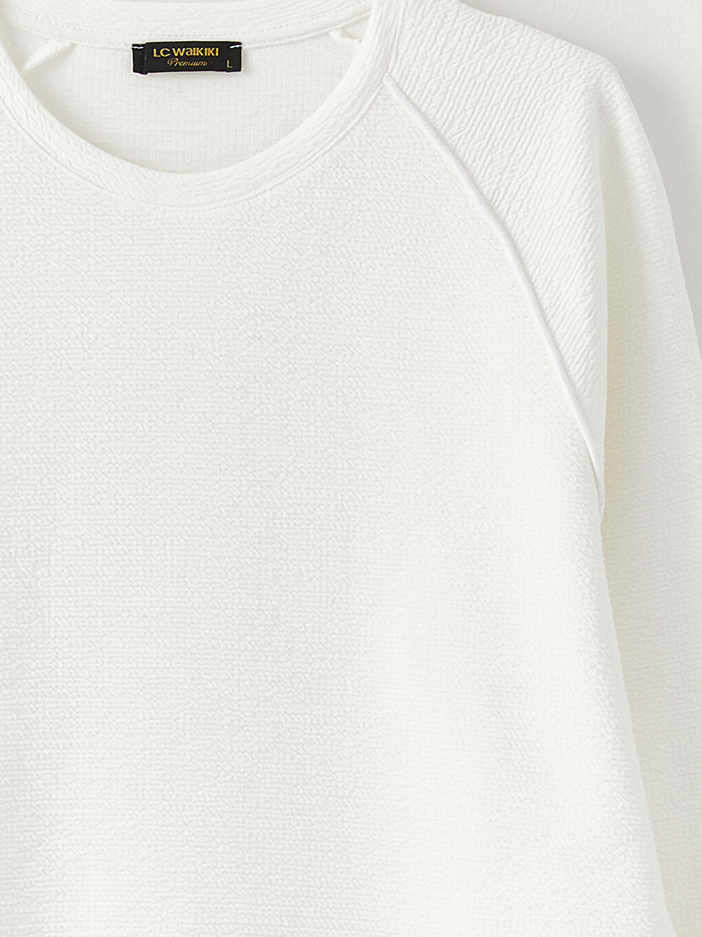 Ekru Bisiklet Yaka Uzun Kollu Erkek Sweatshirt-9