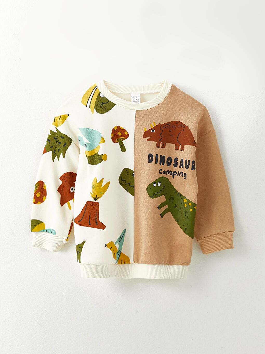 Crew Neck Long Sleeve Printed Baby Boys' Sweatshirt