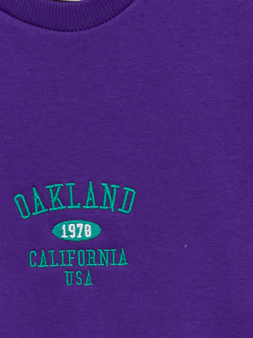 Mor Bisiklet Yaka Uzun Kollu Erkek Kalın Sweatshirt-7