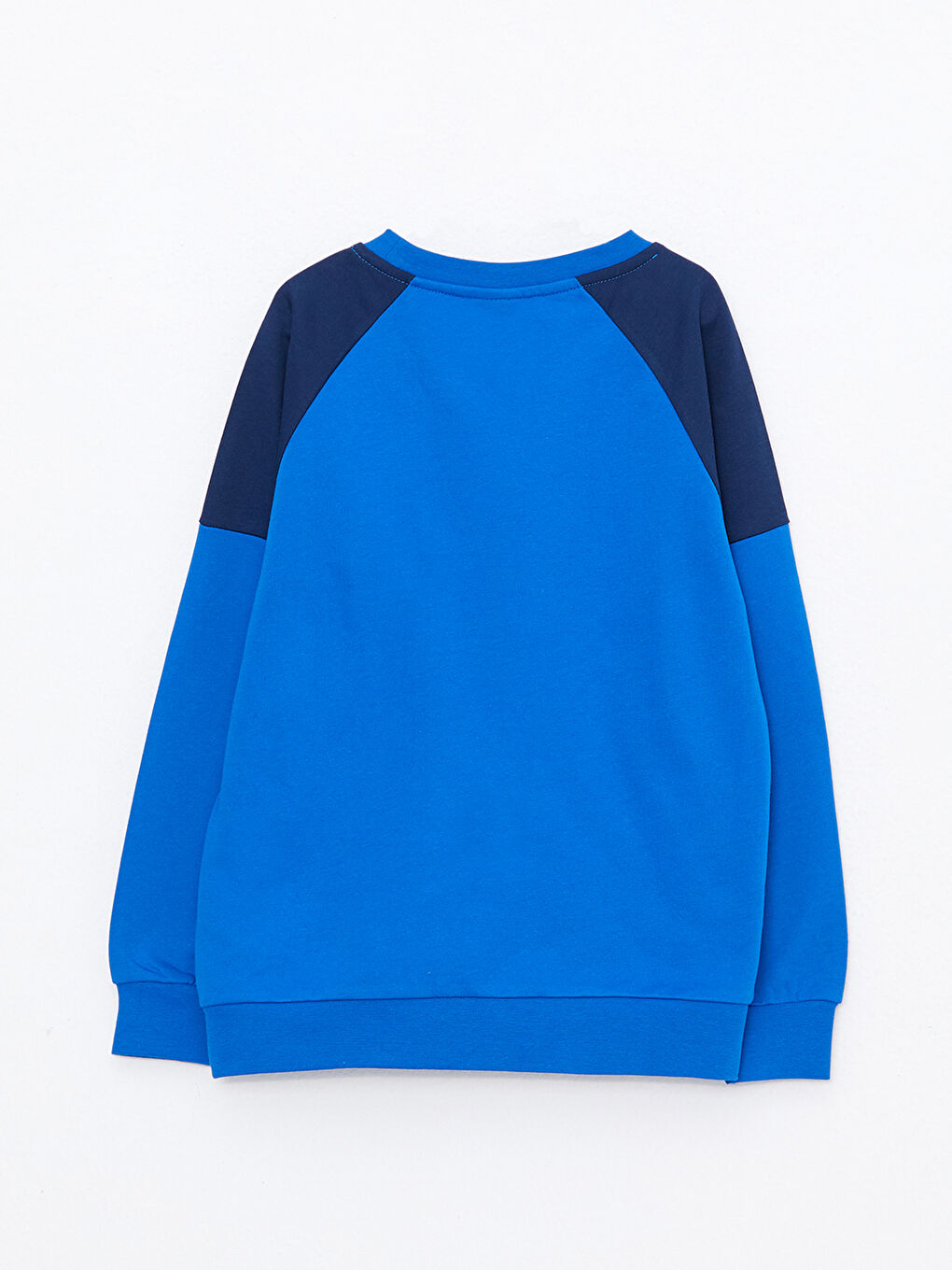 Crew Neck Printed Long Sleeve Boys' Sweatshirt-1