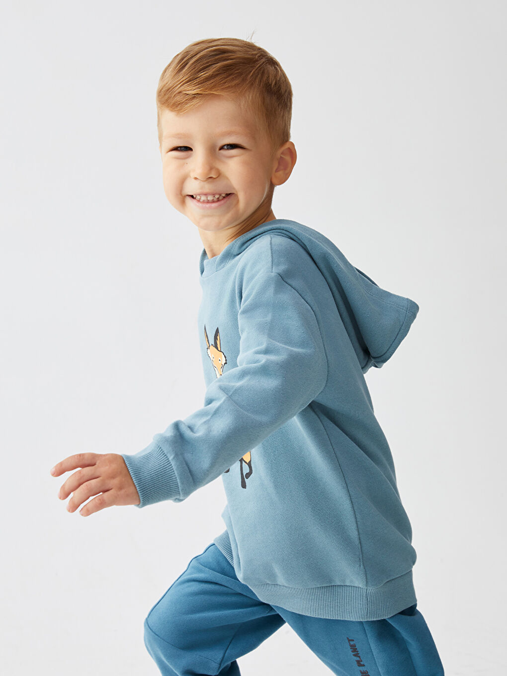 LCW baby Langarm Bedruckter Baby Jungen Kapuzenpullover -W2H858Z1-GQT