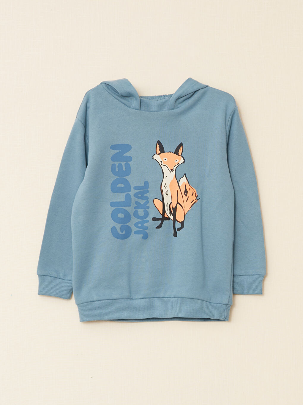 LCW baby Langarm Bedruckter Baby Jungen Kapuzenpullover -W2H858Z1-GQT
