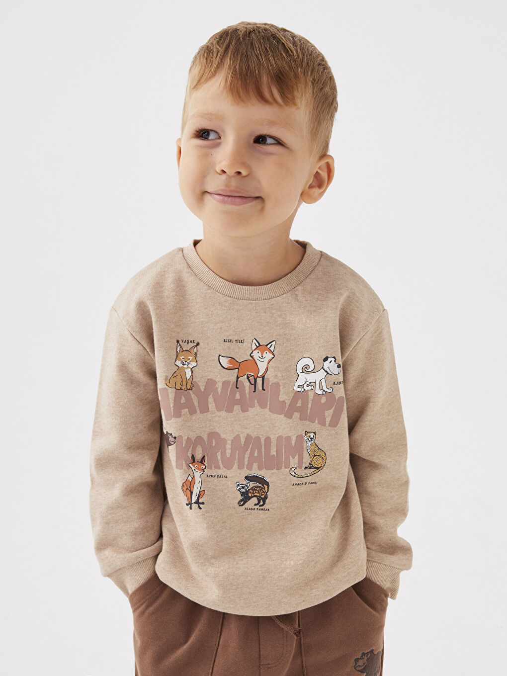 Crew Neck Long Sleeve Printed Baby Boys' Sweatshirt