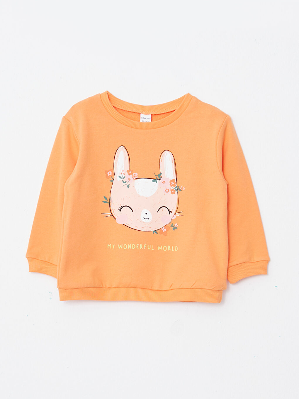 Crew Neck Long Sleeve Printed Baby Girl Sweatshirt 2 Pieces-2