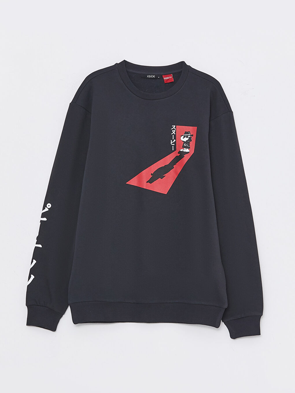 Antrasit Bisiklet Yaka Uzun Kollu Snoopy Baskılı Erkek Kalın Sweatshirt-5