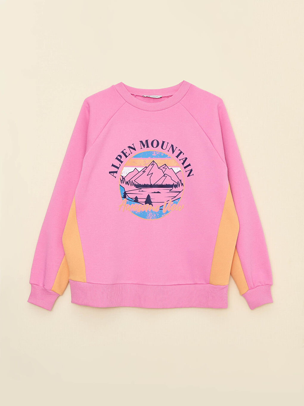 Crew Neck Printed Women's Thick Sweatshirt-9