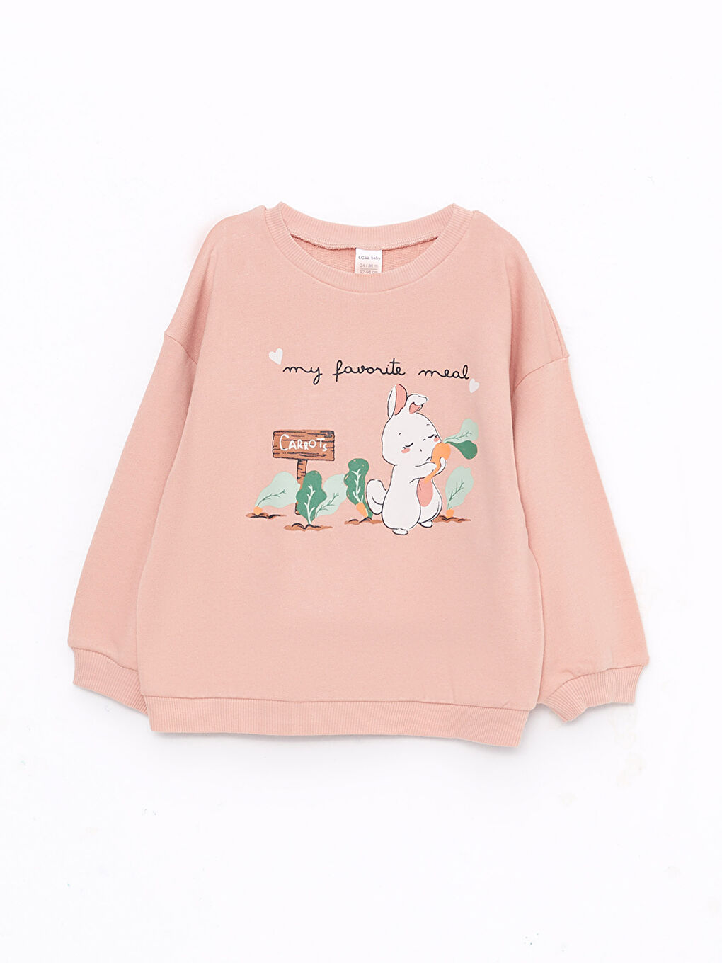 LCW baby Rundhalsausschnitt Langarm Bedrucktes Baby Mädchen Sweatshirt und Strumpfhosen 2er-Pack Set -W2HM76Z1-FLK