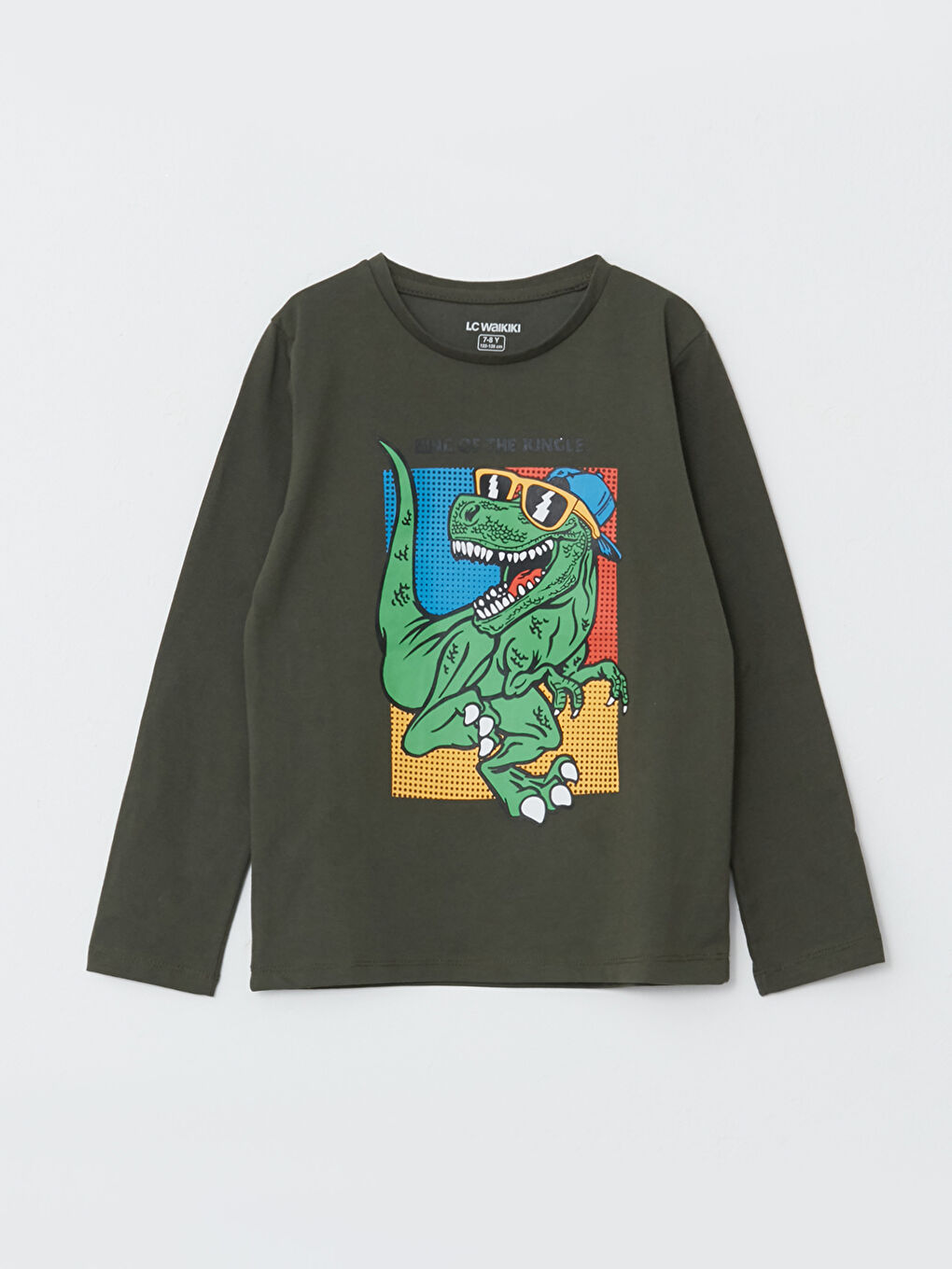 Crew Neck Printed Long Sleeve Boys' T-Shirt