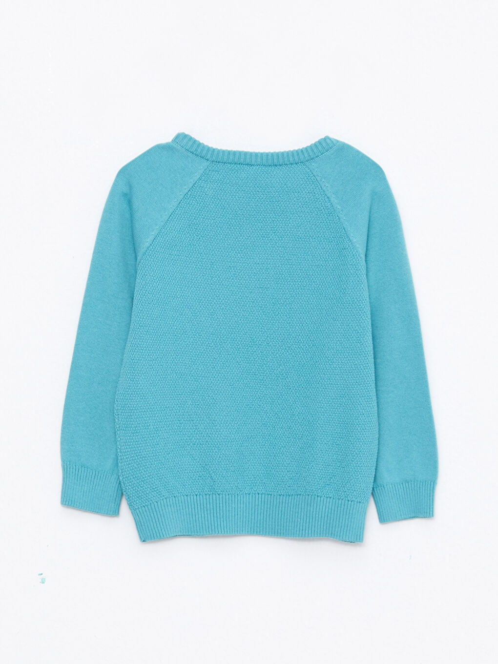 Crew Neck Long Sleeve Embroidery Detailed Baby Boy Knitwear Sweater-1