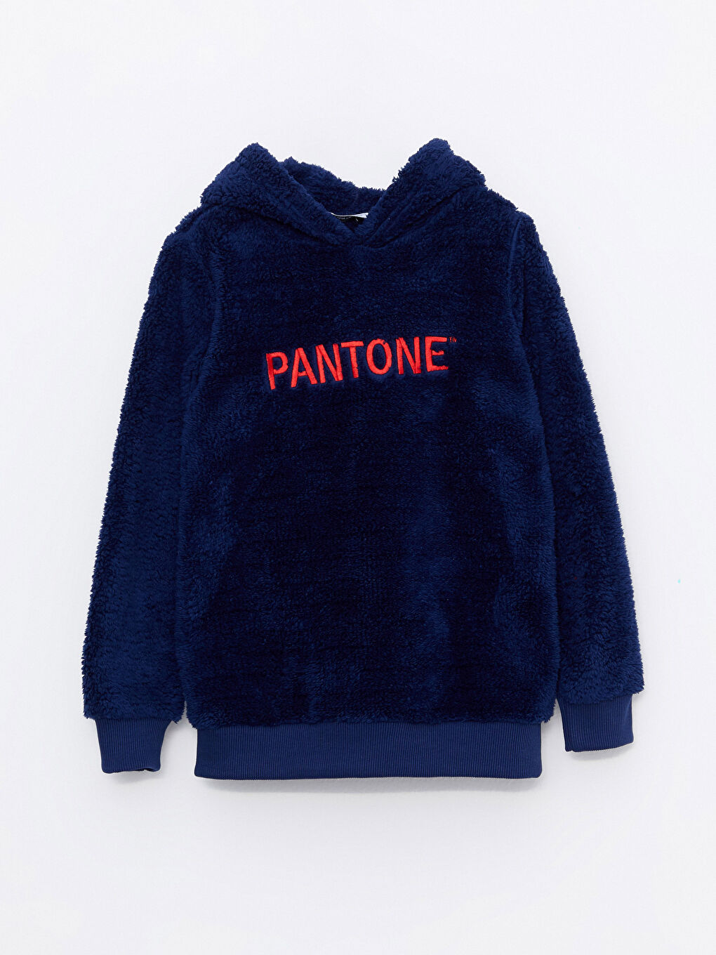 Pantone Lacivert Kapüşonlu Nakışlı Uzun Kollu Unisex Çocuk Sweatshirt - 2