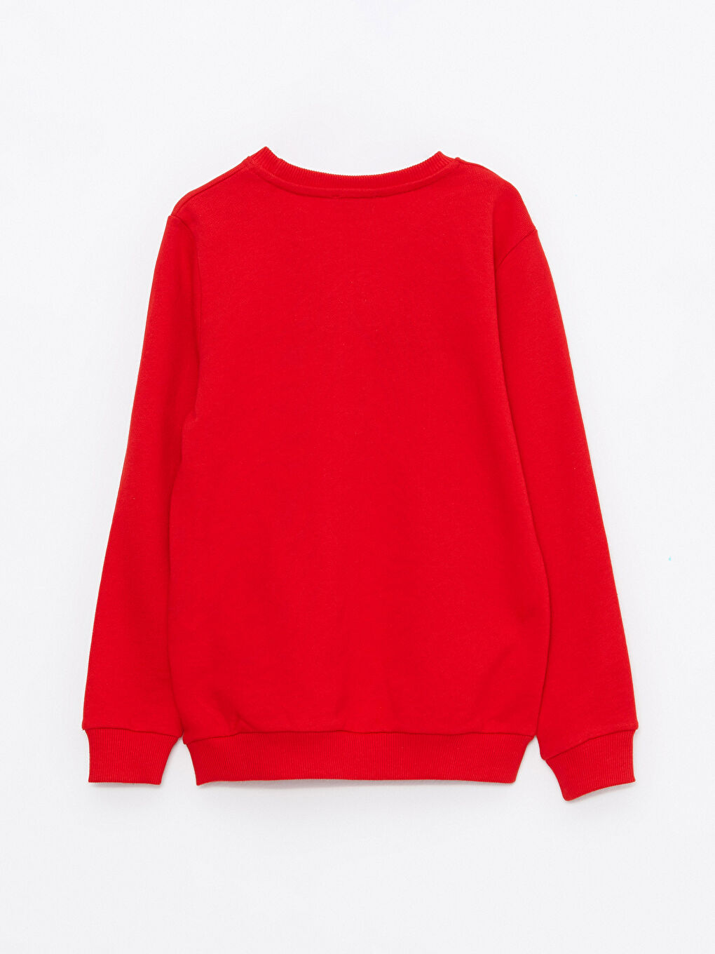 Crew Neck Embroidered Long Sleeve Unisex Kids Sweatshirt-1