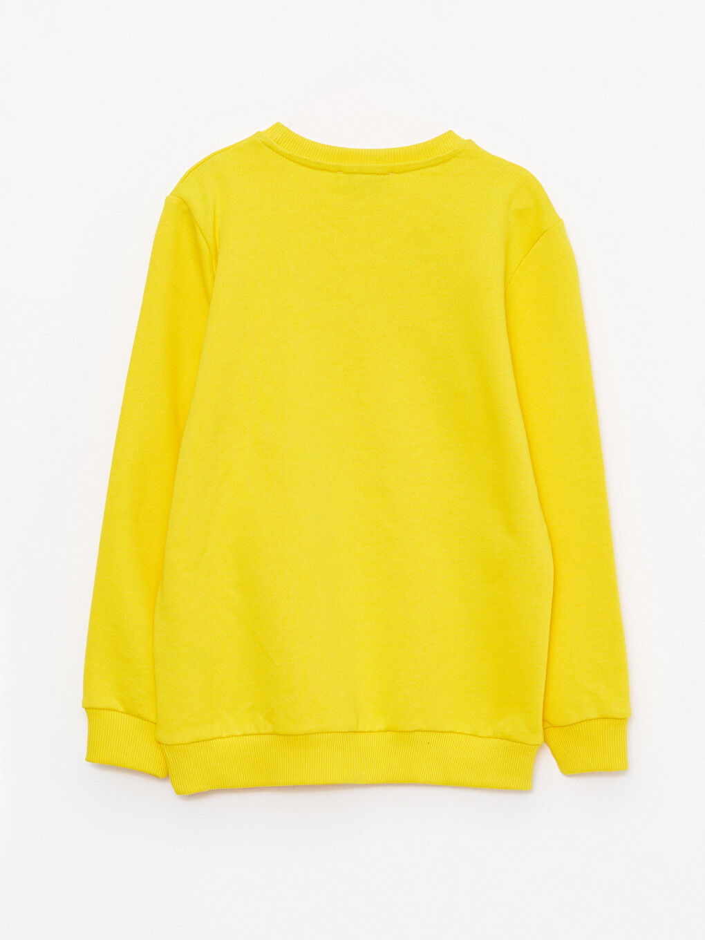 Crew Neck Embroidered Long Sleeve Unisex Kids Sweatshirt-4