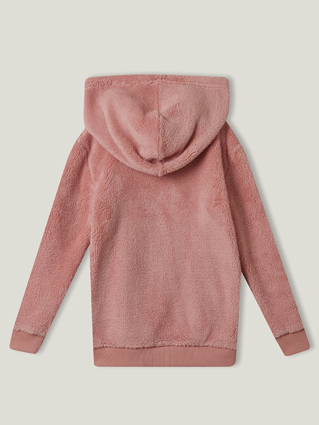 Hooded Embroidered Long Sleeve Plush Girl Sweatshirt-2