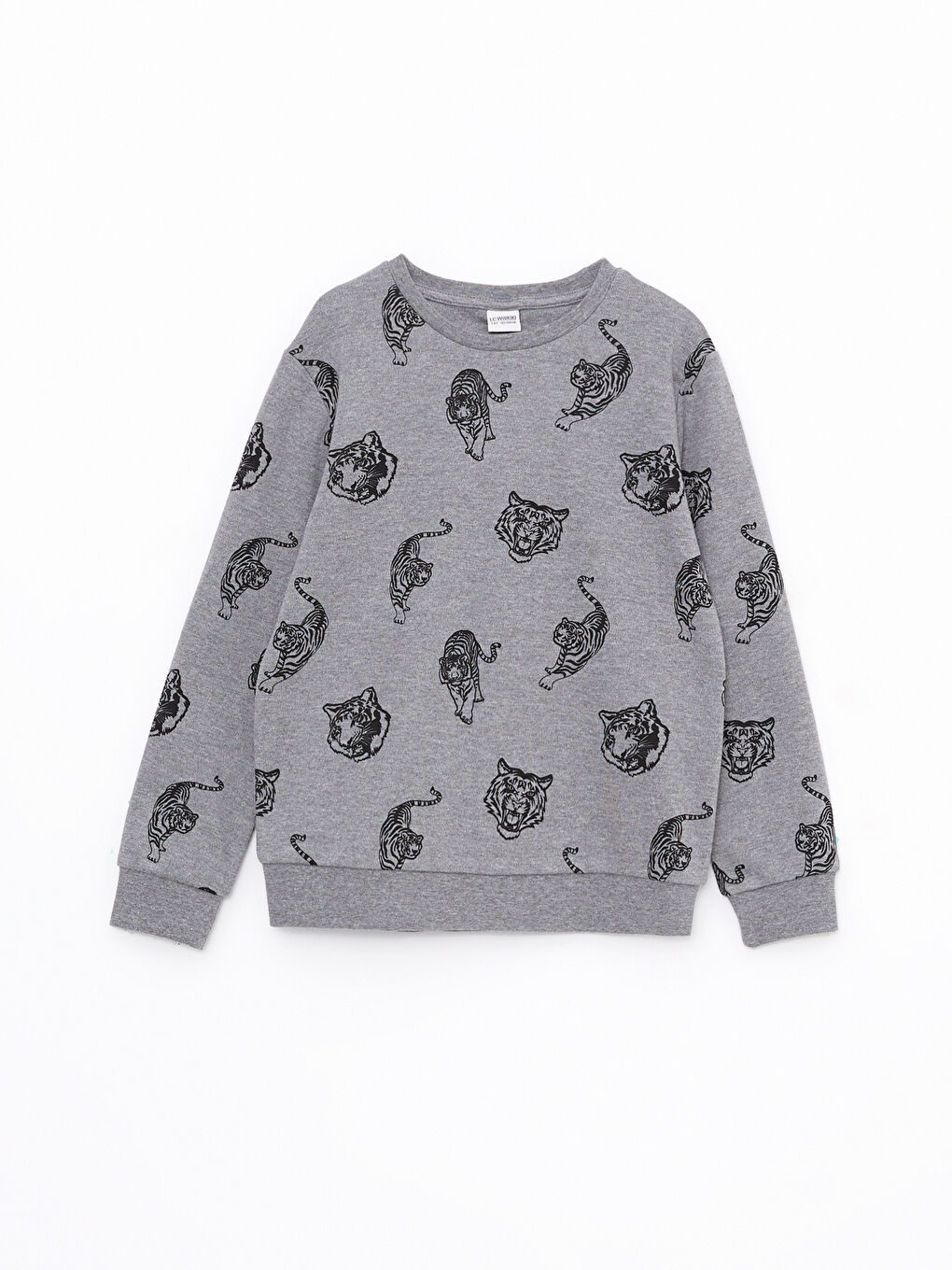 Crew Neck Printed Long Sleeve Boys' Sweatshirt-3