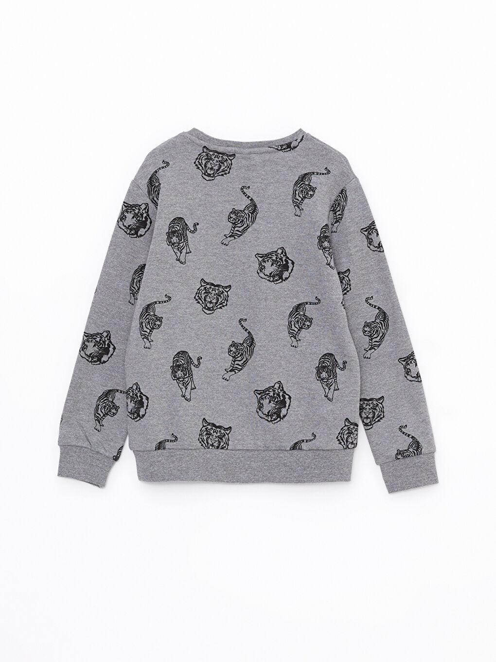 Crew Neck Printed Long Sleeve Boys' Sweatshirt-4