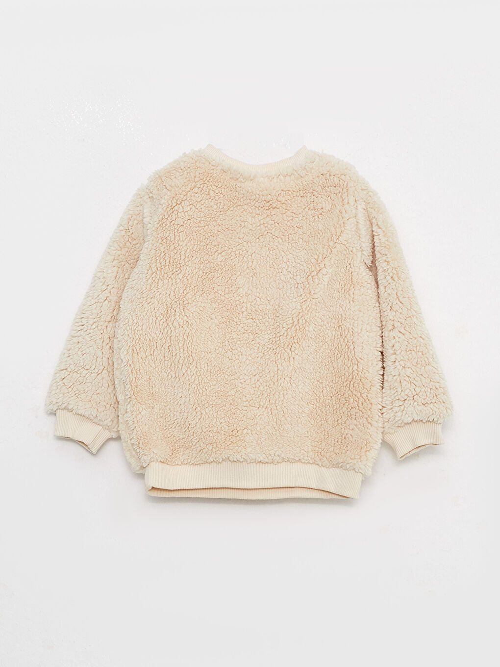 Crew Neck Long Sleeve Lion King Embroidery Detailed Baby Boy Sweatshirt-1