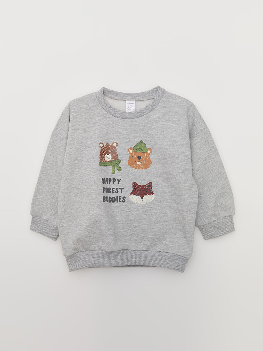 Crew Neck Long Sleeve Printed Baby Boy Sweatshirt 2-Pack-1