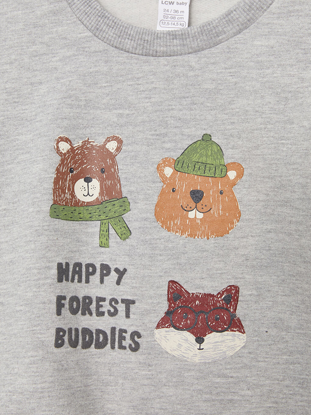 Crew Neck Long Sleeve Printed Baby Boy Sweatshirt 2-Pack-5
