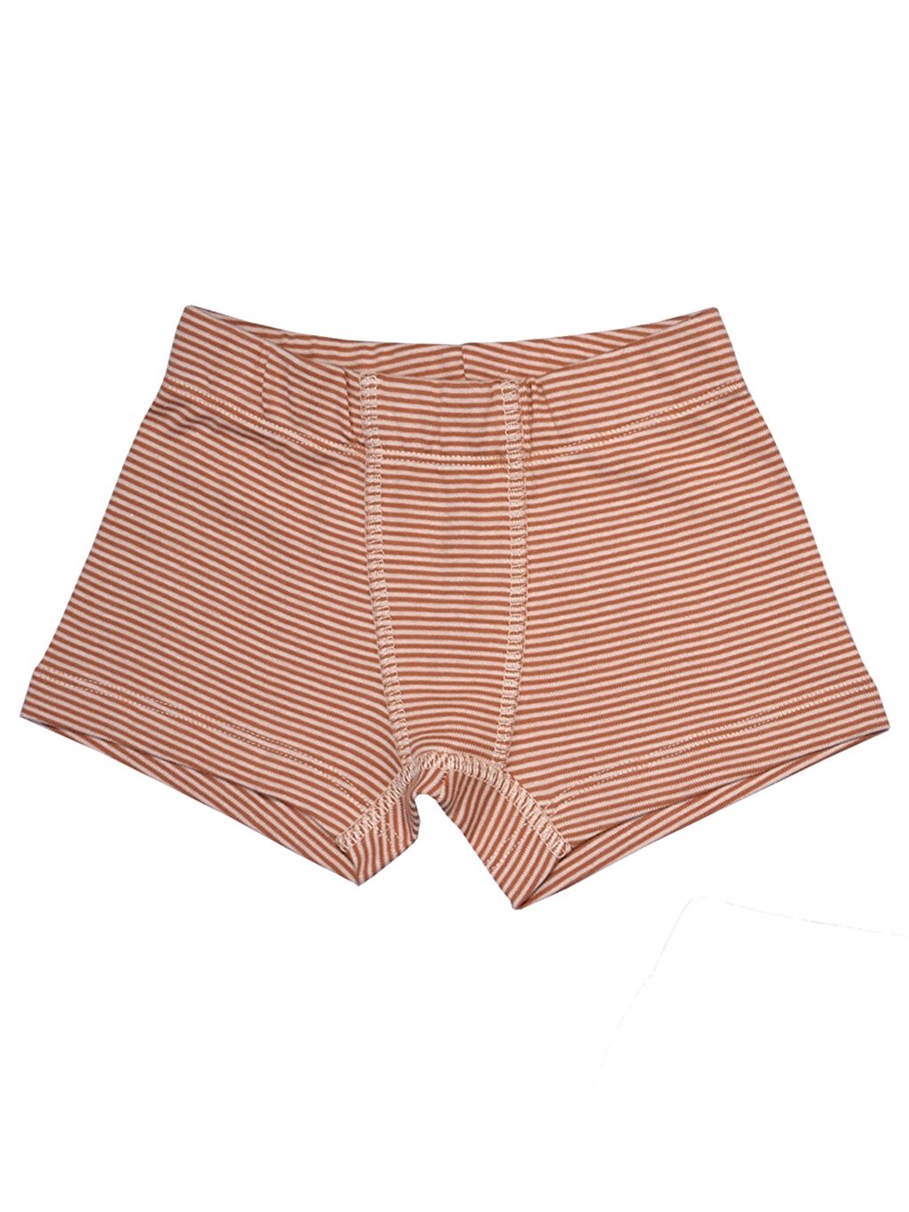 Kahverengi Pamuklu Erkek Çocuk Boxer 3'lü-2