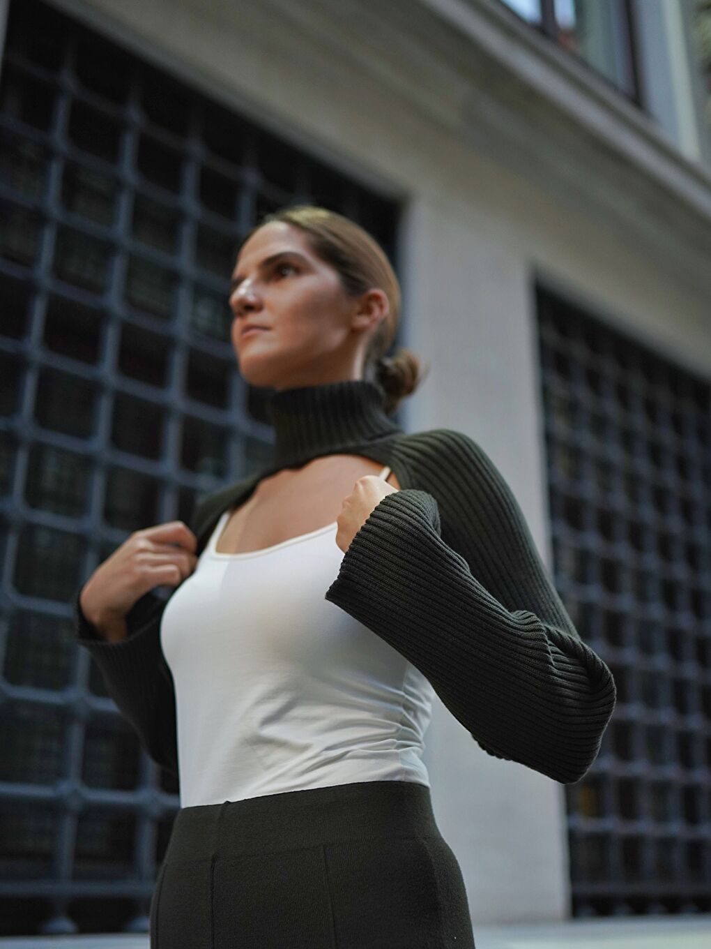 Turtleneck Straight Long Sleeve Women's Sweater