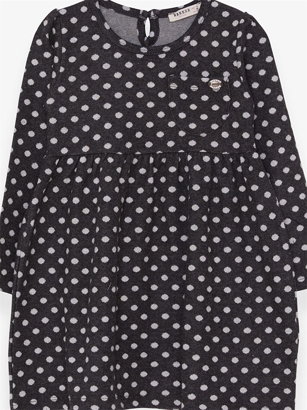 Antrasit Bisiklet Yaka Uzun Kollu Desenli Kız Bebek Elbise-2