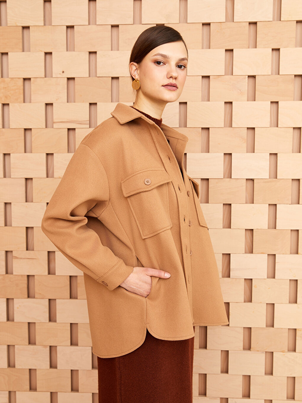 Plain Long Sleeve Women's Shirt Tunic-1